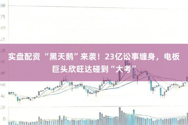 实盘配资 “黑天鹅”来袭！23亿讼事缠身，电板巨头欣旺达碰到“大考”