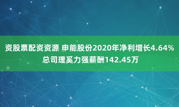 资股票配资资源 申能股份2020年净利增长4.64% 总司理奚力强薪酬142.45万