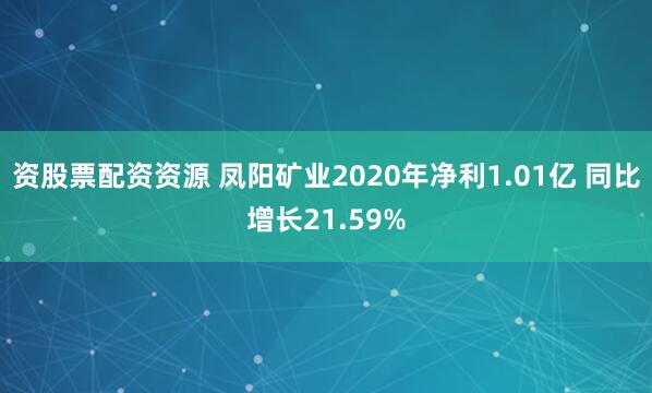 资股票配资资源 凤阳矿业2020年净利1.01亿 同比增长21.59%